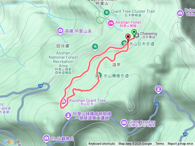 水山巨木群+水山療癒步道