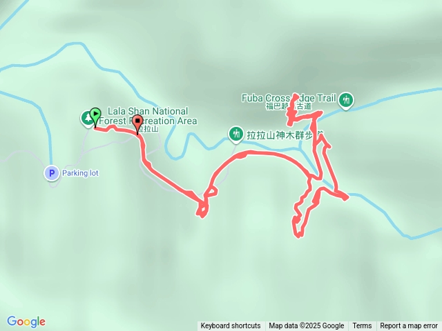 桃園復興鄉拉拉山神木群步道