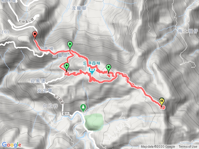 留龍頭-留龍頭山-金甘樹山-忘憂森林O型縱走