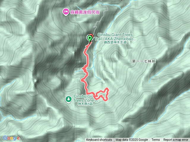 鎮西堡巨木群步道健走預覽圖