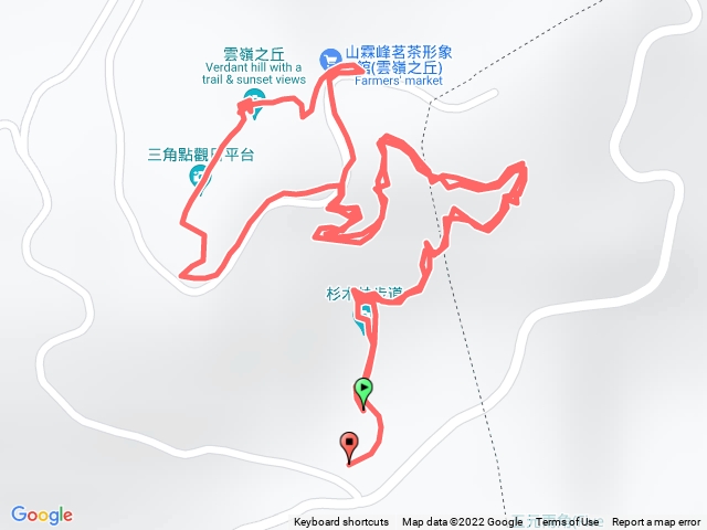 雲嶺之丘杉木林步道