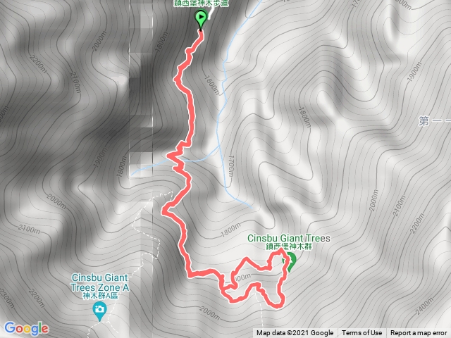 鎮西堡神木群B區