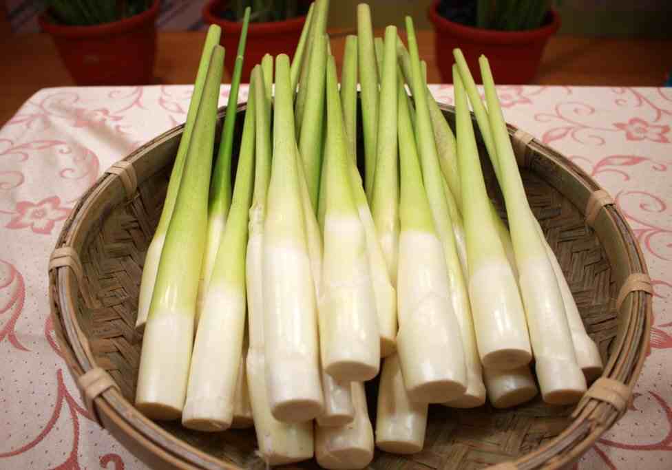 【健康】吃當季｜茭白筍適合三高患者吃 但