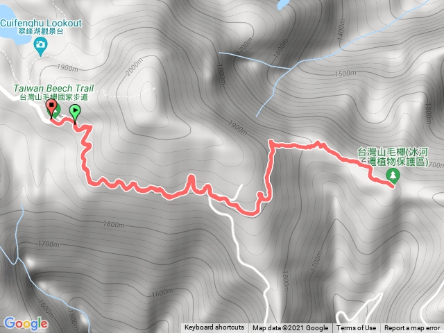 20211102太平山毛櫸