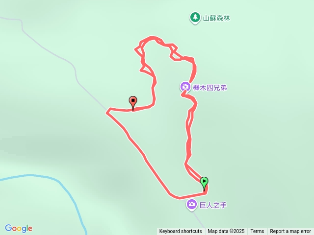 雪山坑步道山蘇林祕境