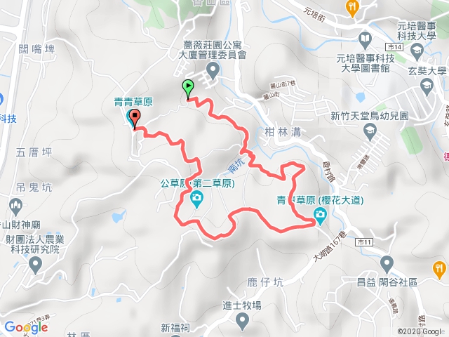 新竹青青草原