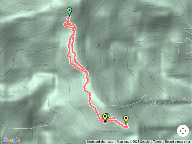 邱富村路線預覽圖