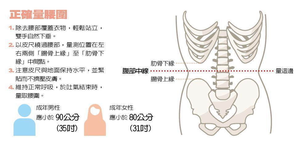 【健康】「收小腹、保健康」褲腰超過 35 吋 內臟脂肪如未爆彈