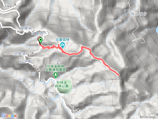 金柑樹山。仁淵茶葉上山