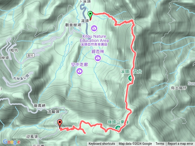 米提忘憂森林預覽圖