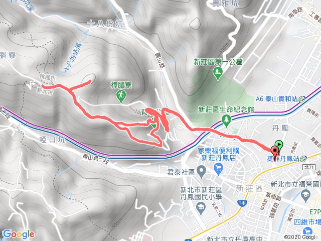 200824青年公園牡丹心山