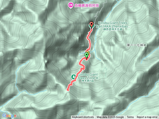 新竹 尖石 鎮西堡巨木群步道(A區)
