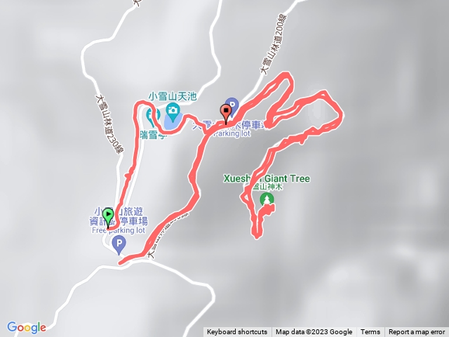 大雪山森林浴 經天池與大神木往返