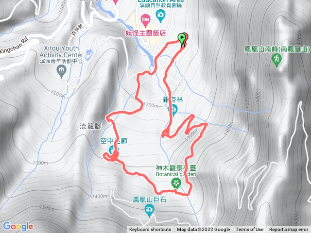溪頭神木空中步道環狀