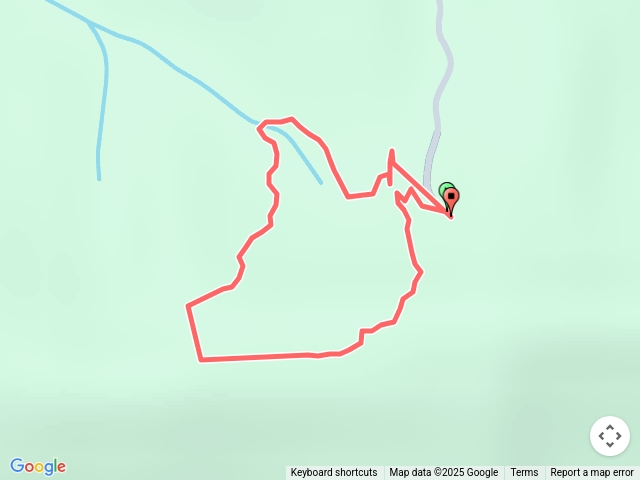 大同路87巷尾王公坑山賞血藤小O繞一圈