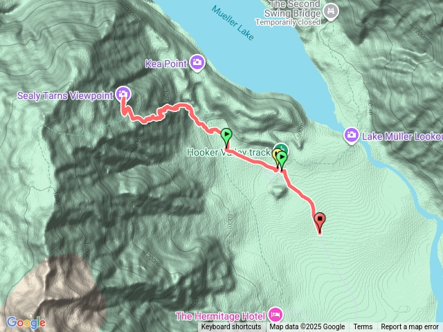 紐西蘭南島sealytarnstrack