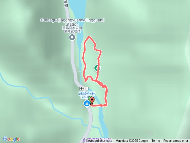 武陵農場茶園步道