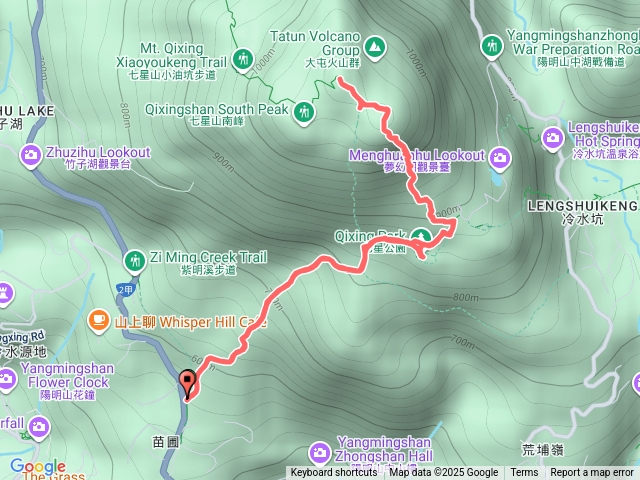 1140921-七星山東主東-苗圃上