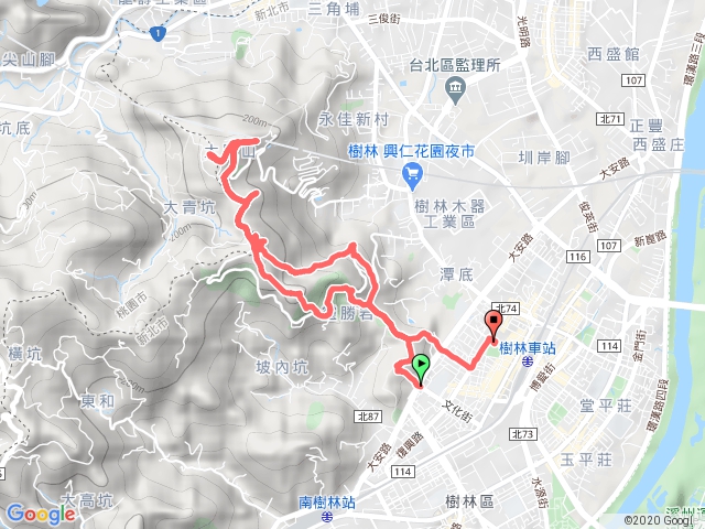 三角埔頂山賞芒