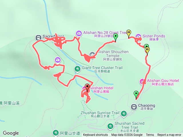 20260718阿里山步道散步