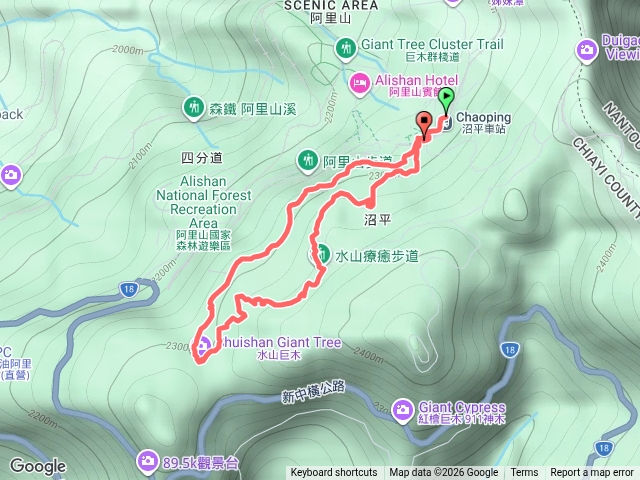 水山林道-療癒步道-水山巨木步道預覽圖